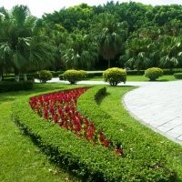 上海綠化工程，上海虹碩綠化工程施工單位