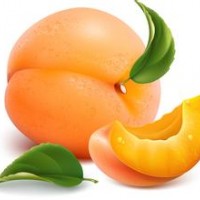 供應優(yōu)質桃樹苗、黃桃苗、黃金桃苗