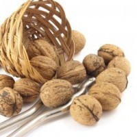 大量供應優(yōu)質山西運城紙皮核桃