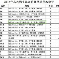 供應(yīng)金葉榆 大葉榆 裂葉榆 小葉白蠟 復(fù)葉槭 黃金樹 王族海棠 紫