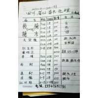 供應(yīng)珍貴名木金絲楠木，楨楠，紅豆杉，曼地亞，香樟，樸樹，皂皂