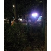 專業(yè)的挖樹隊伍，挖樹速度快、保證質(zhì)量