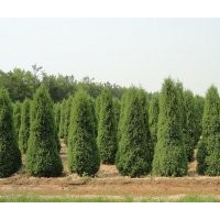 供應1米2米3米4米蜀儈價格