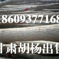 1-12公分胡楊樹苗出售