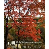 大量供應(yīng)東北檸筋槭，叢生擰筋槭遼寧檸筋槭