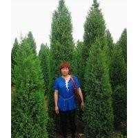 供應(yīng)4米的北京儈