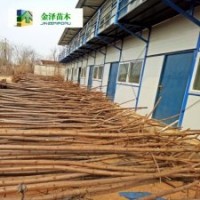 河北火炬樹--火炬樹報價--5公分火炬樹