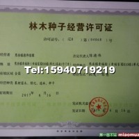 寒富蘋(píng)果苗