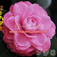 紅十八學(xué)士